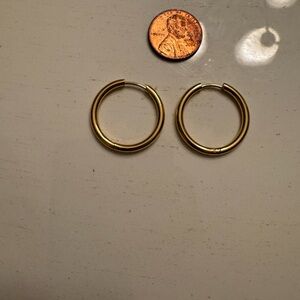 Elegant Gold Hoop Earrings